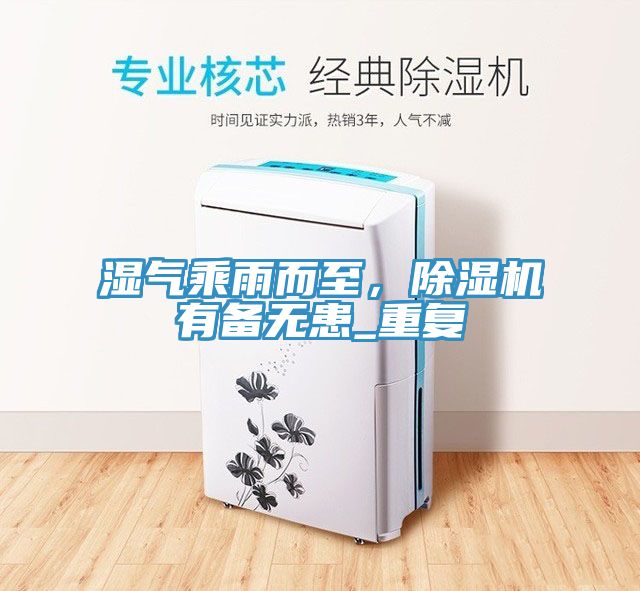 湿气乘雨而至，除湿机有备无患_重复