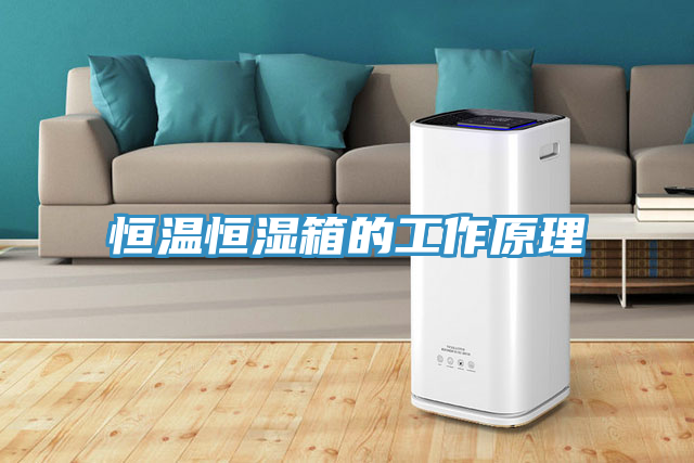 恒温恒湿箱的工作原理