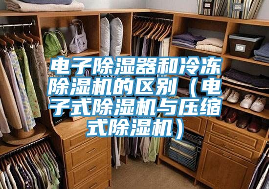 电子除湿器和冷冻除湿机的区别（电子式除湿机与压缩式除湿机）