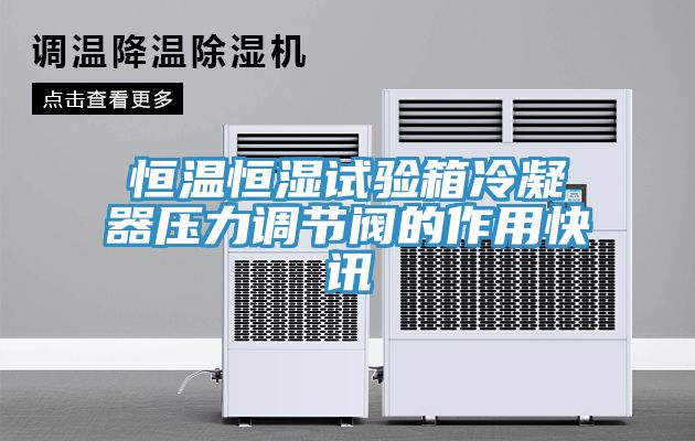 恒温恒湿试验箱冷凝器压力调节阀的作用快讯