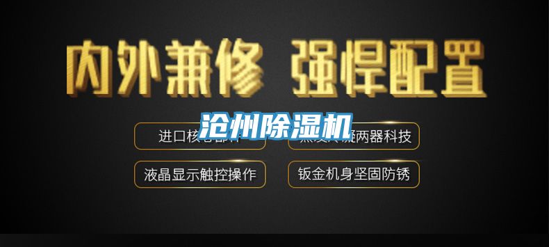 沧州除湿机