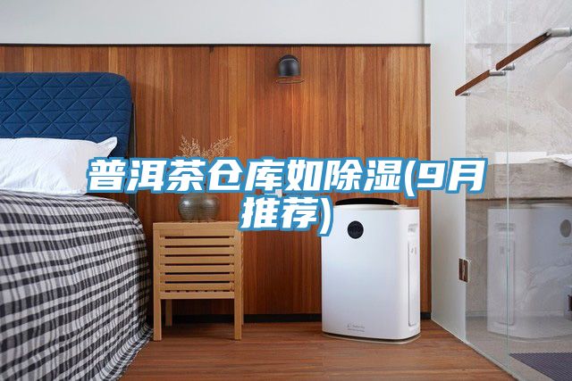 普洱茶仓库如除湿(9月推荐)
