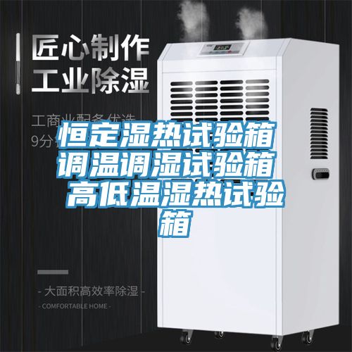 恒定湿热试验箱 调温调湿试验箱 高低温湿热试验箱