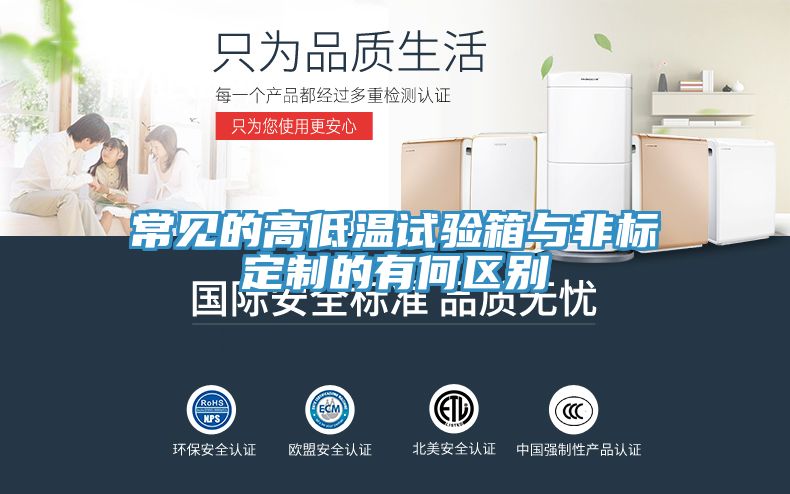 常见的高低温试验箱与非标定制的有何区别