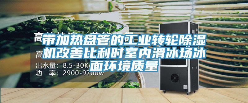 带加热盘管的工业转轮除湿机改善比利时室内滑冰场冰面环境质量