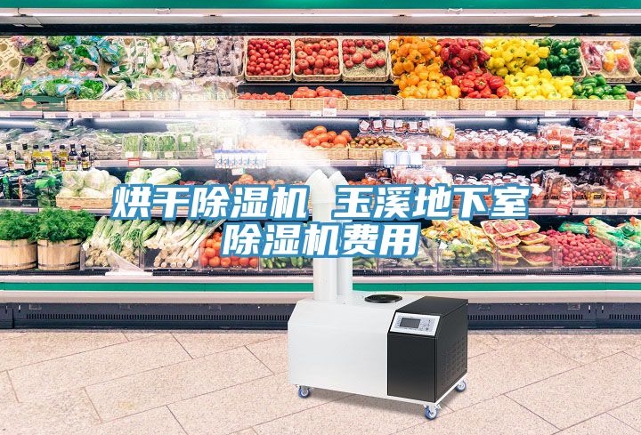 烘干除湿机 玉溪地下室除湿机费用