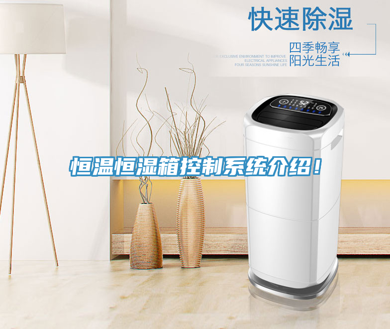 恒温恒湿箱控制系统介绍！