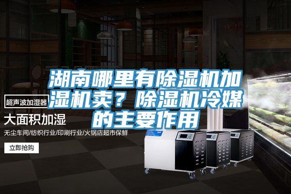 湖南哪里有除湿机加湿机卖？除湿机冷媒的主要作用