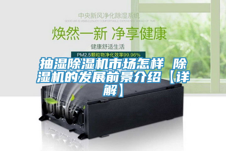 抽湿除湿机市场怎样 除湿机的发展前景介绍【详解】