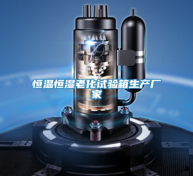 恒温恒湿老化试验箱生产厂家