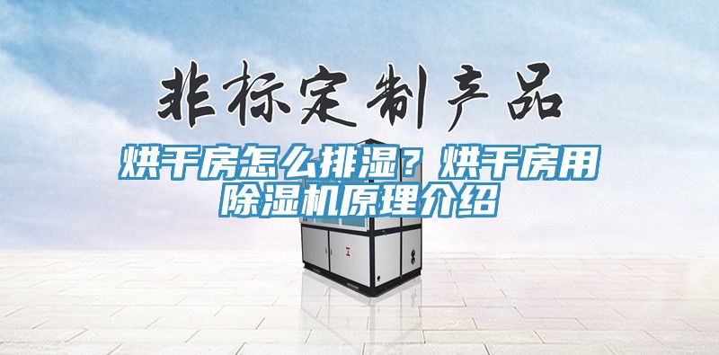 烘干房怎么排湿？烘干房用除湿机原理介绍