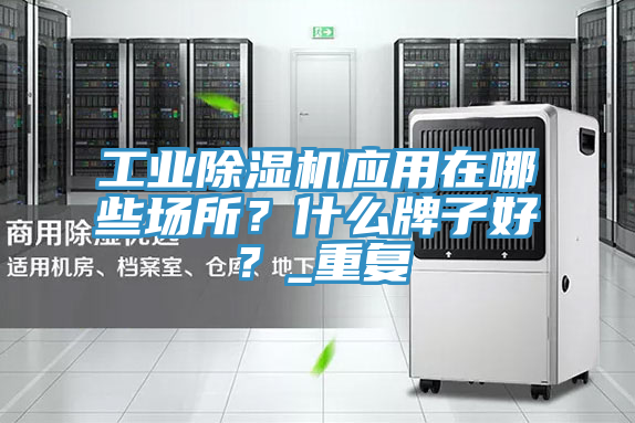 工业除湿机应用在哪些场所？什么牌子好？_重复