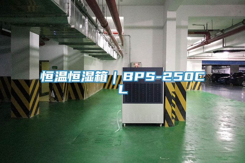 恒温恒湿箱｜BPS-250CL