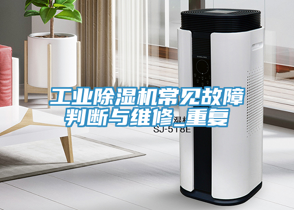 工业除湿机常见故障判断与维修_重复