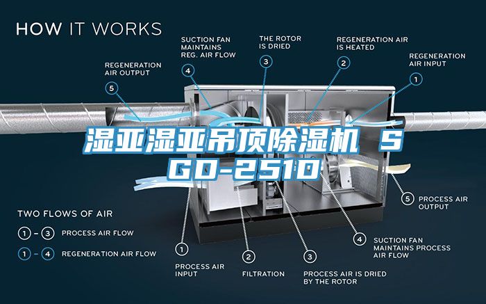 湿亚湿亚吊顶除湿机 SGD-251D