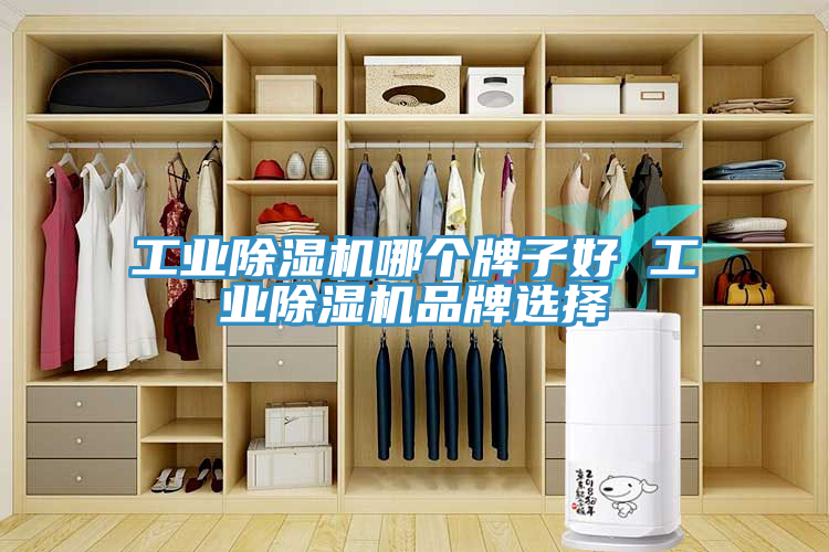 工业除湿机哪个牌子好 工业除湿机品牌选择
