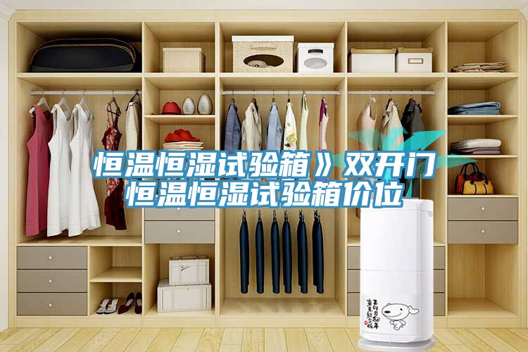 恒温恒湿试验箱》双开门恒温恒湿试验箱价位