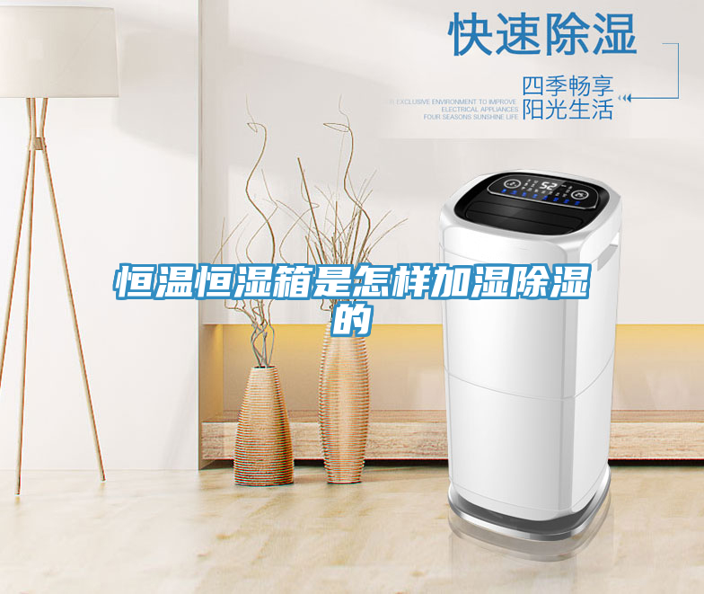 恒温恒湿箱是怎样加湿除湿的