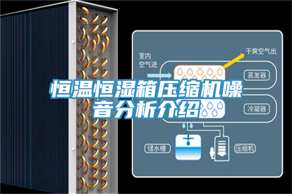 恒温恒湿箱压缩机噪音分析介绍