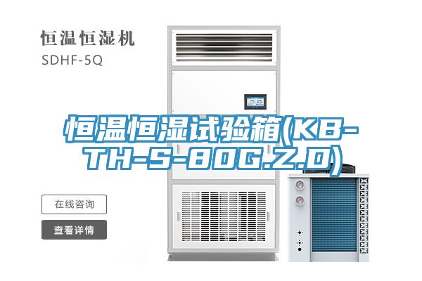 恒温恒湿试验箱(KB-TH-S-80G.Z.D)