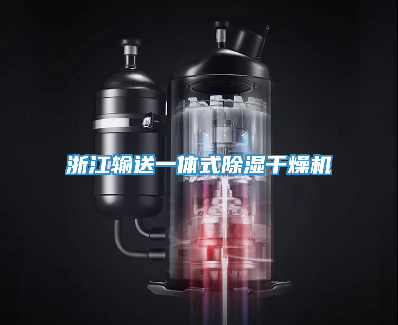 浙江输送一体式除湿干燥机