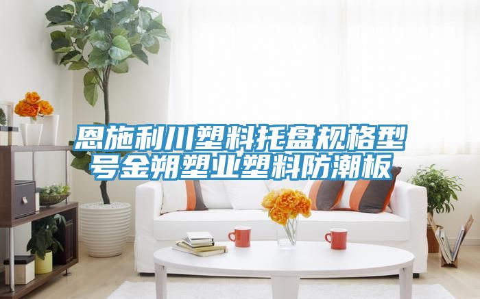 恩施利川塑料托盘规格型号金朔塑业塑料防潮板