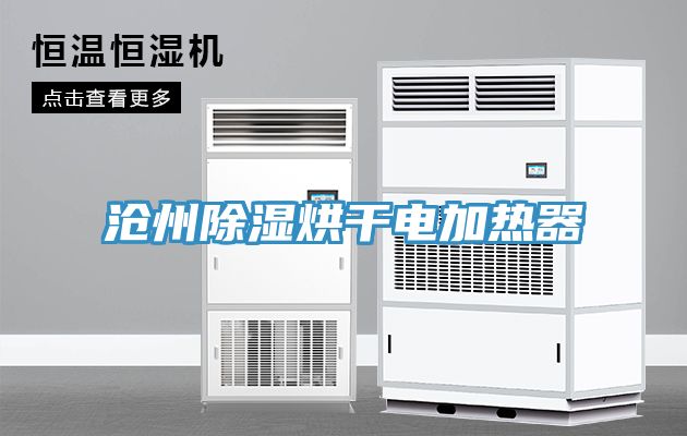 沧州除湿烘干电加热器