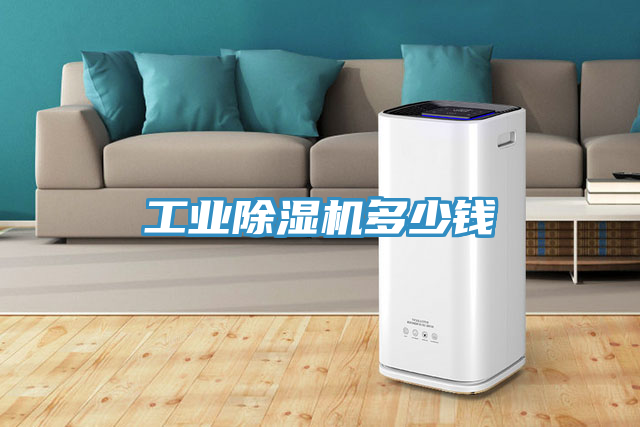 工业除湿机多少钱