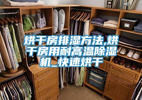 烘干房排湿方法,烘干房用耐高温除湿机_快速烘干