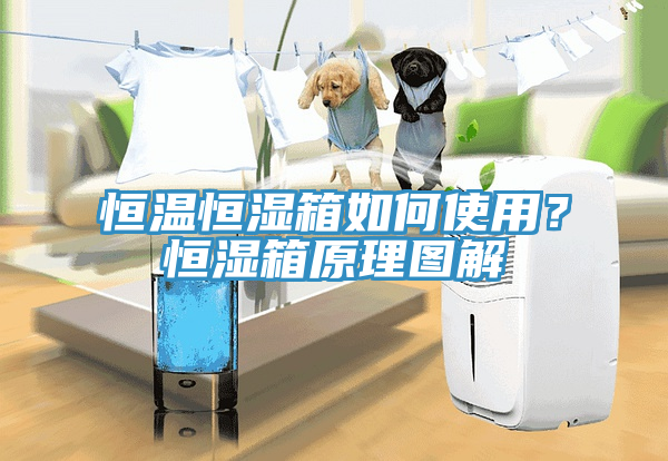 恒温恒湿箱如何使用？恒湿箱原理图解