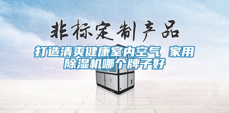 打造清爽健康室内空气 家用除湿机哪个牌子好