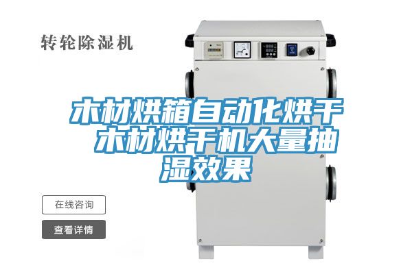 木材烘箱自动化烘干 木材烘干机大量抽湿效果