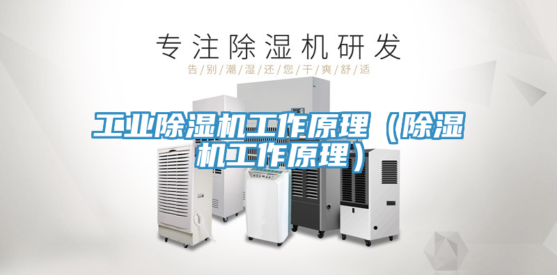 工业除湿机工作原理（除湿机工作原理）