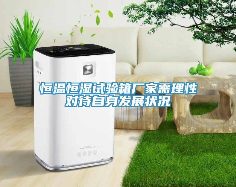 恒温恒湿试验箱厂家需理性对待自身发展状况
