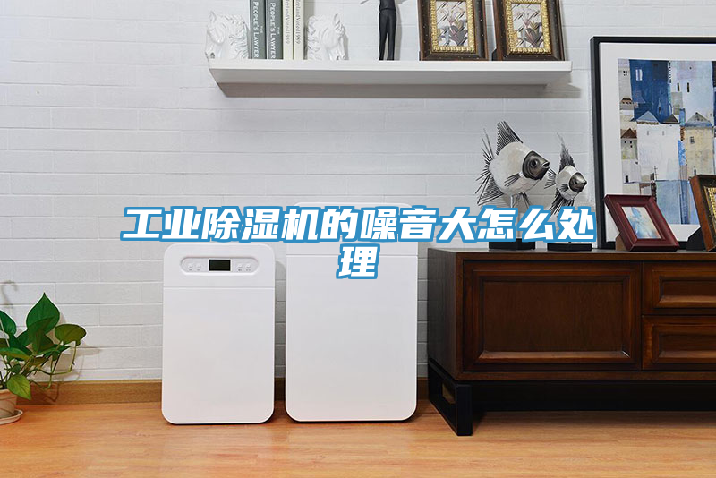 工业除湿机的噪音大怎么处理