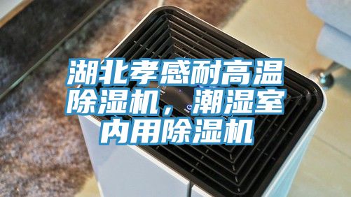 湖北孝感耐高温除湿机，潮湿室内用除湿机