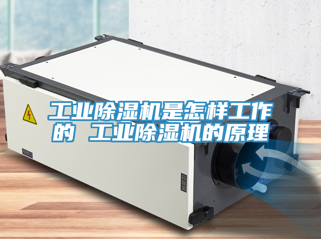 工业除湿机是怎样工作的 工业除湿机的原理