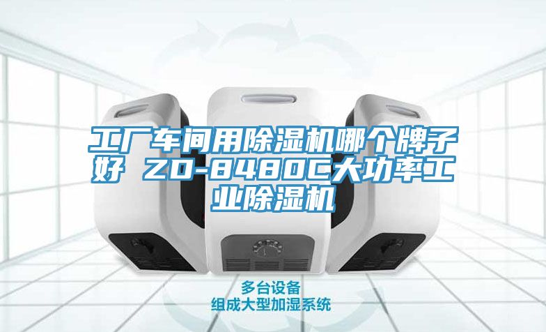工厂车间用除湿机哪个牌子好 ZD-8480C大功率工业除湿机