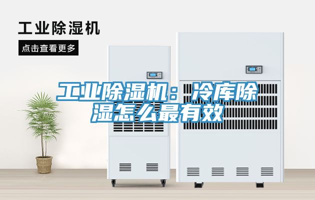 工业除湿机：冷库除湿怎么最有效