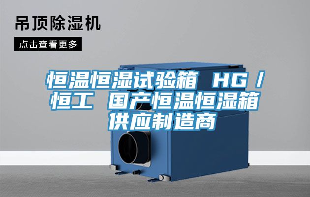 恒温恒湿试验箱 HG／恒工 国产恒温恒湿箱 供应制造商