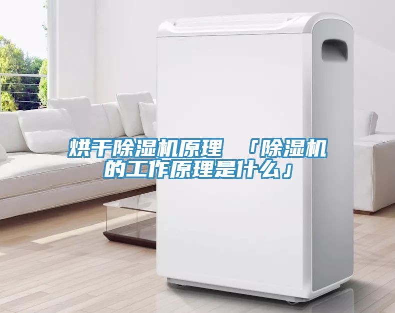 烘干除湿机原理 「除湿机的工作原理是什么」