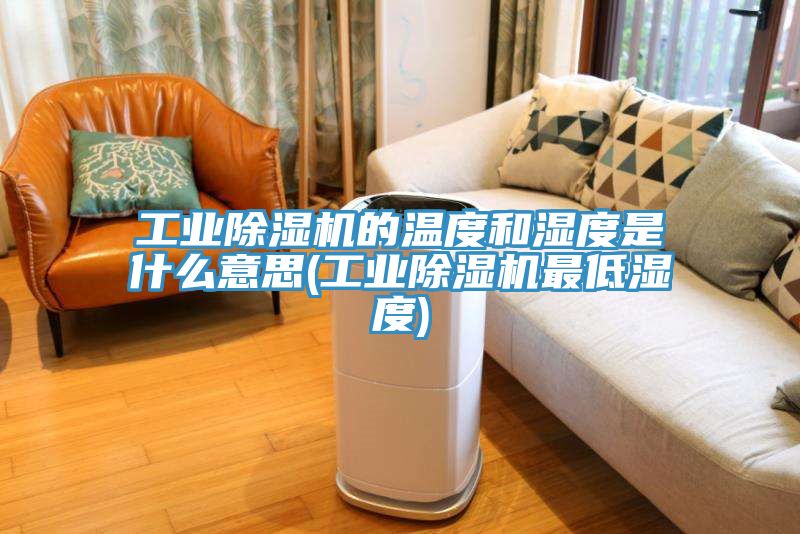 工业除湿机的温度和湿度是什么意思(工业除湿机最低湿度)