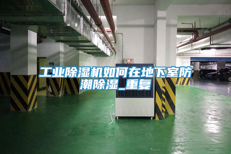 工业除湿机如何在地下室防潮除湿_重复