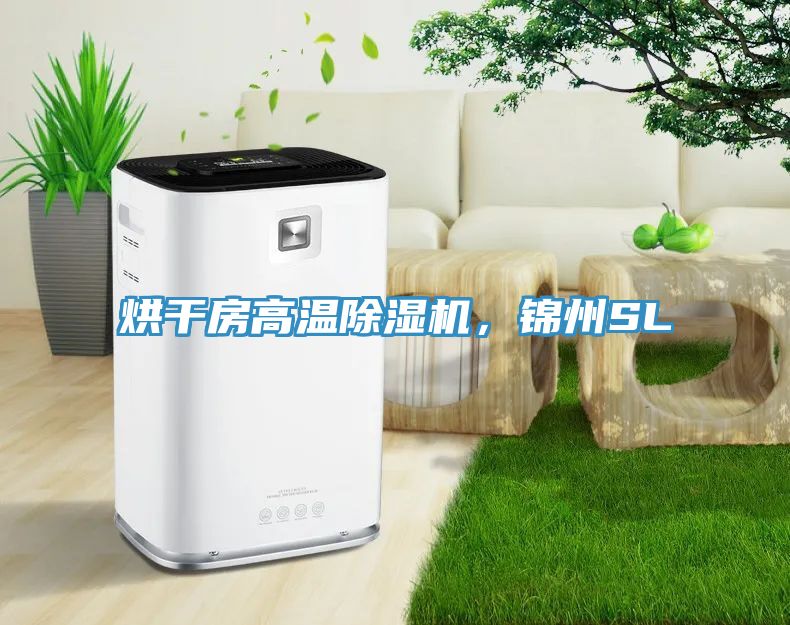 烘干房高温除湿机，锦州SL