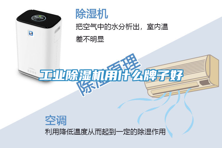 工业除湿机用什么牌子好