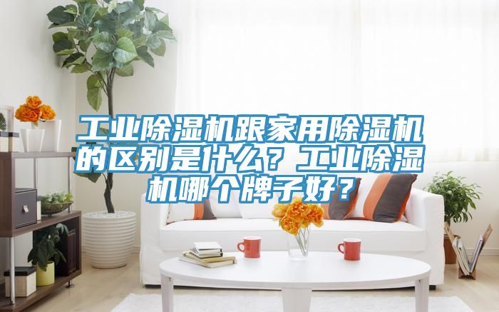工业除湿机跟家用除湿机的区别是什么？工业除湿机哪个牌子好？