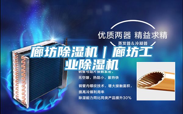 廊坊除湿机｜廊坊工业除湿机