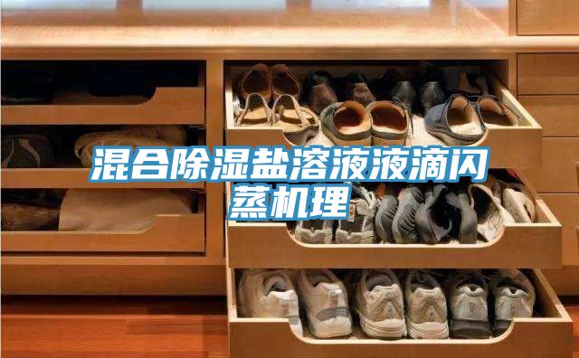 混合除湿盐溶液液滴闪蒸机理