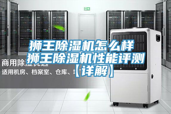 狮王除湿机怎么样 狮王除湿机性能评测【详解】