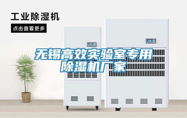 无锡高效实验室专用除湿机厂家
